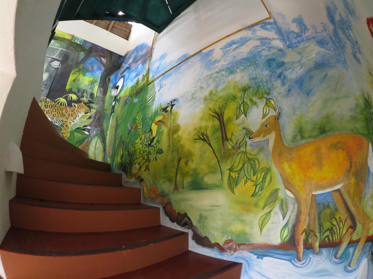 Casa Tucan Hotel ปลายาเดลการ์เมน ภายนอก รูปภาพ