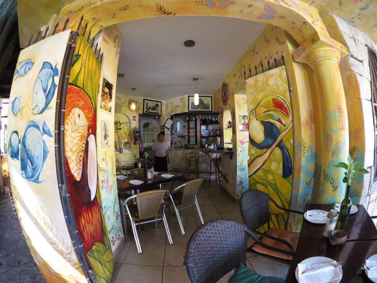 Casa Tucan Hotel ปลายาเดลการ์เมน ภายนอก รูปภาพ