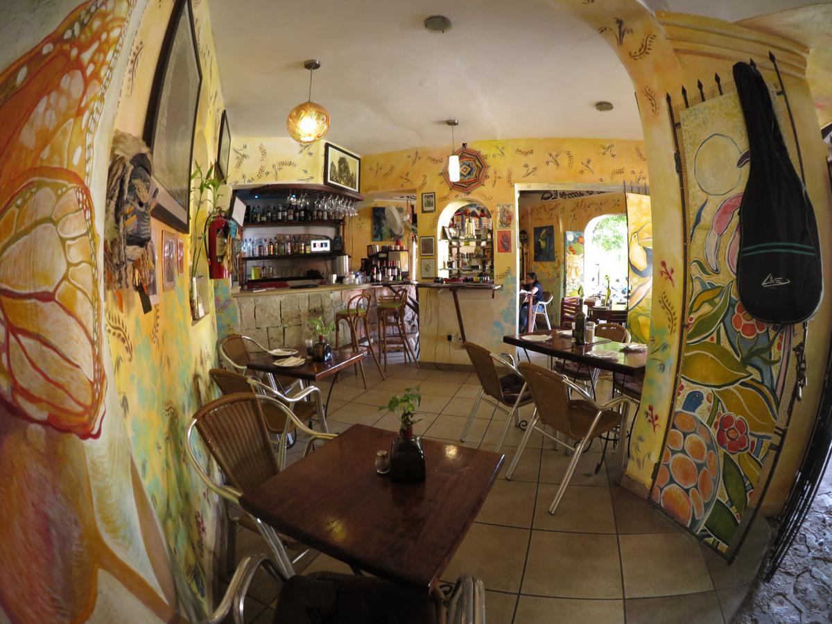 Casa Tucan Hotel ปลายาเดลการ์เมน ภายนอก รูปภาพ